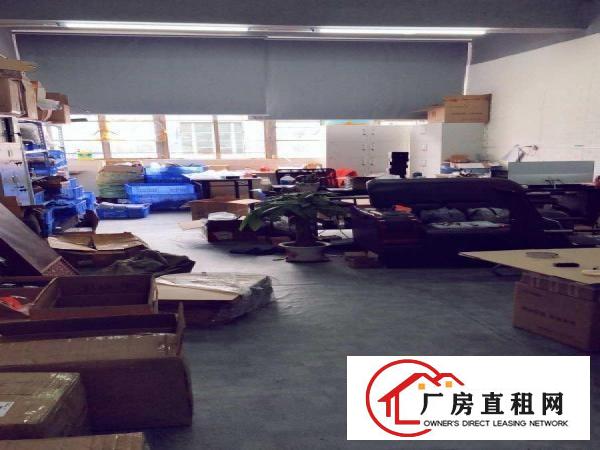  布吉吉华路280号恒通工业城1栋75平(房东直租免中介费)
