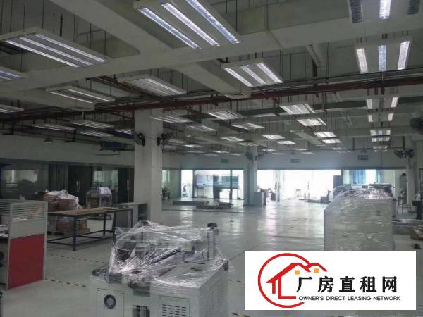  坂田地铁口新出一楼600平适合仓库办公展厅