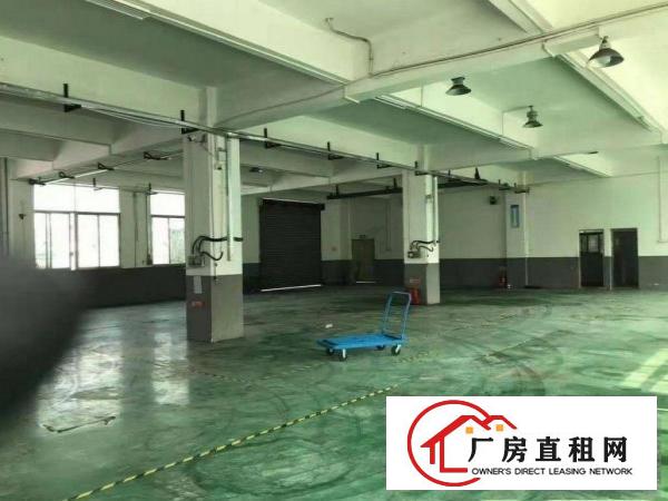  坂田金华工业村一楼厂房700平带装修，面积实在，配电大