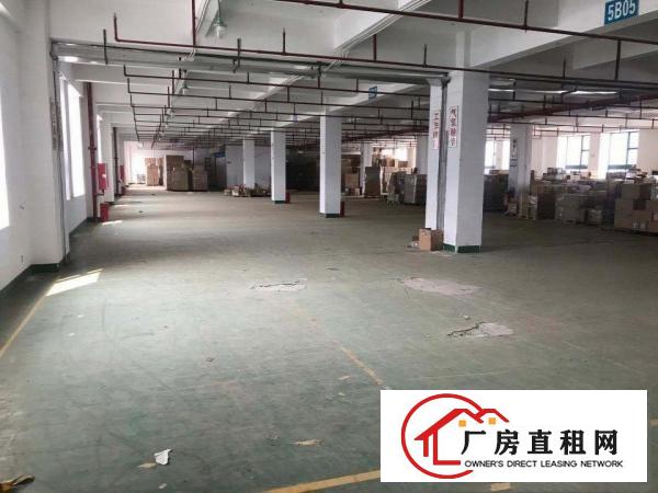  龙岗坂田五号线地铁口新出600精装修，超大空地
