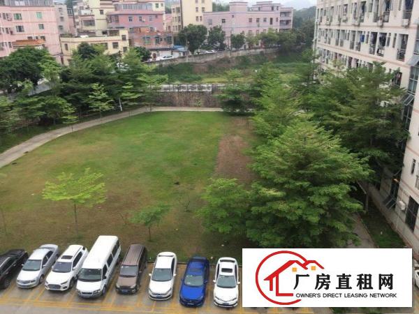  平湖街道华南城附近红本原房东厂房2万平、可办工！200起分