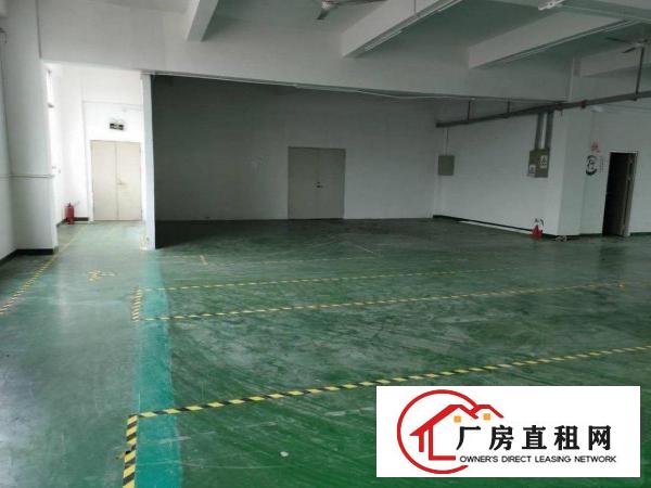  平湖街道华南城附近红本原房东厂房2万平、可办工！200起分