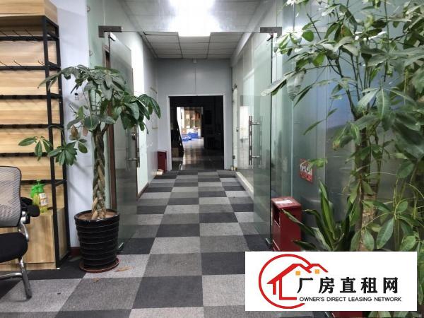  出租（龙岗坂田上雪科技园）1200平方精装厂房，可分租