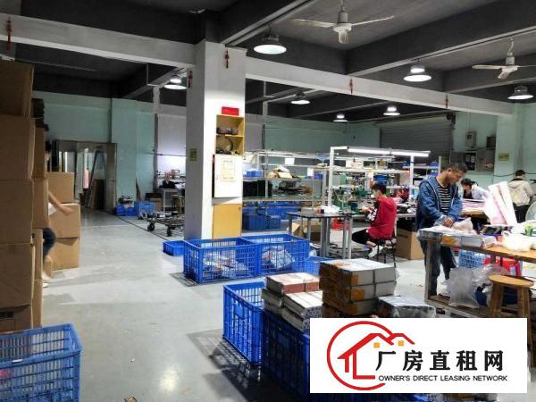  出租（龙岗坂田上雪科技园）1200平方精装厂房，可分租