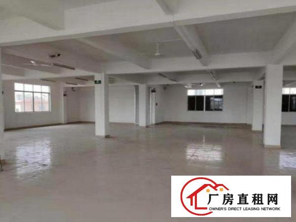  坂田中坡工业园出租2楼750平方厂房，带红本，适作电商，仓库