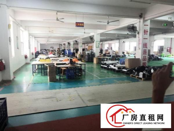  坂田岗头一楼厂房1000平出租，有红本，带装修
