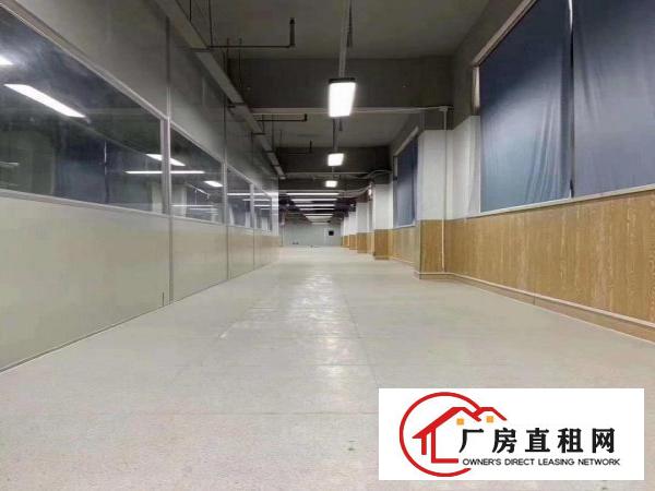 坂田新出500平1000平2000平无尘车间厂房出租