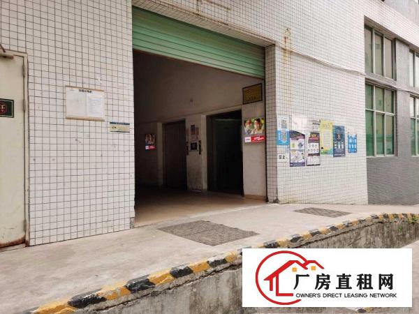  出租龙岗区坂田自用厂房办公室仓库
