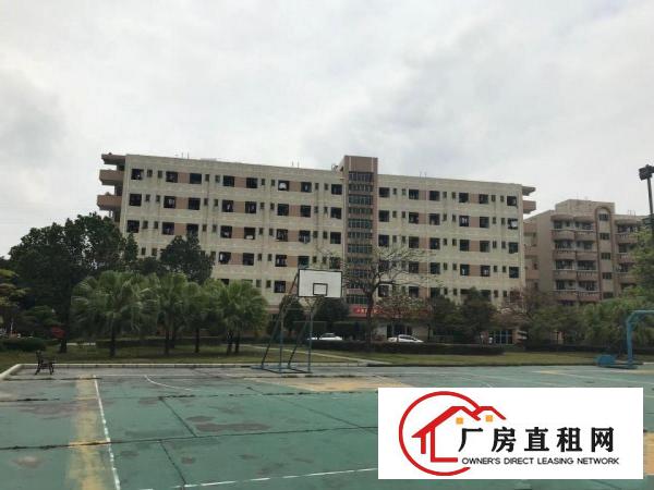  地铁口厂房出租3000-24000平大空地进出方便