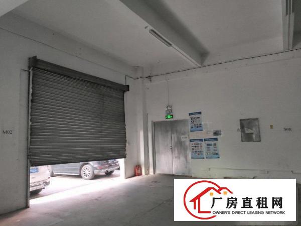  上雪科技园一楼新出独门独院厂房