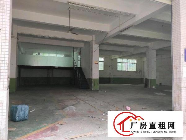  上雪科技园一楼新出独门独院厂房