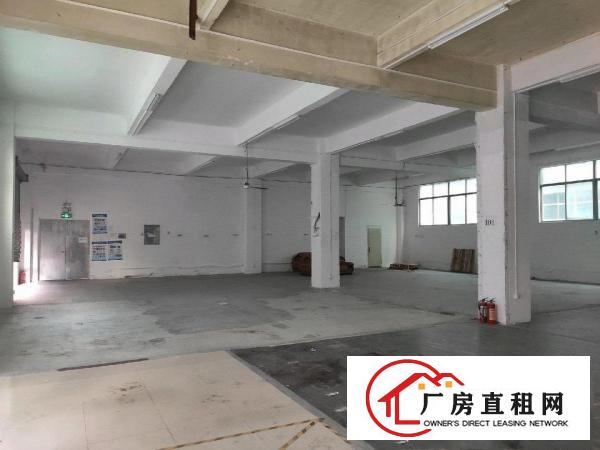  上雪科技园一楼新出独门独院厂房