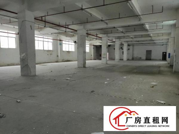  上雪科技园一楼新出独门独院厂房