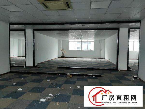  上雪科技园一楼新出独门独院厂房
