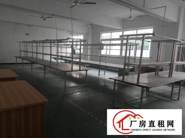  上雪科技园一楼新出独门独院厂房