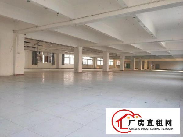  上雪科技园一楼新出独门独院厂房