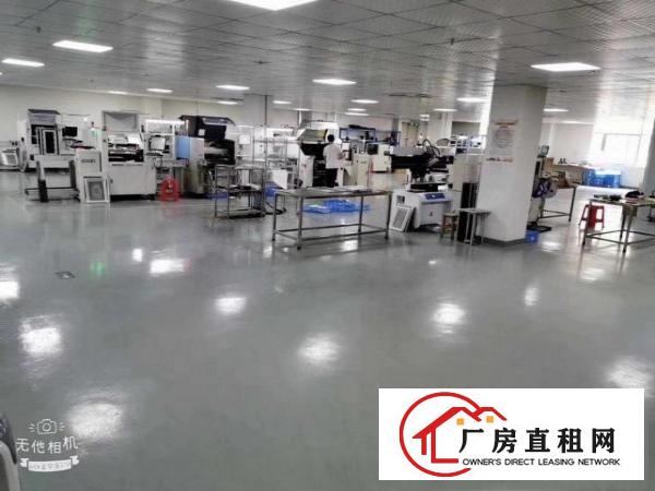  业主出租坂田杨美500平800平1000平大小面积厂房分租