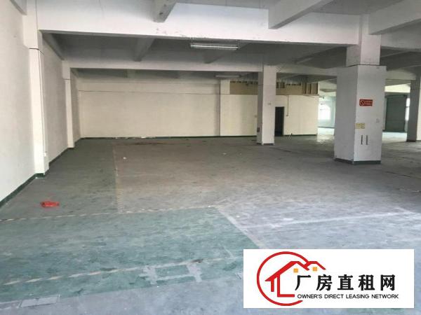  坂田板李大道标准厂房，实用率八成。位置好