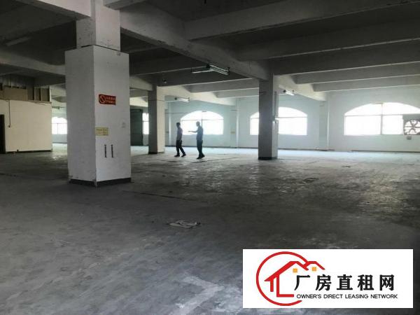  坂田板李大道标准厂房，实用率八成。位置好
