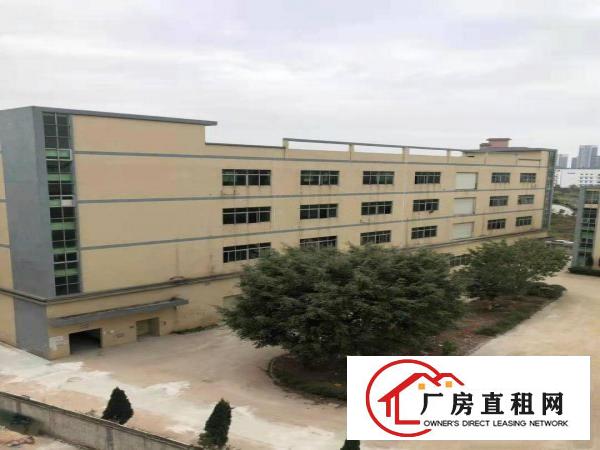  坂田华为附近大型工业区独门独院业主直租价格实惠有宿舍