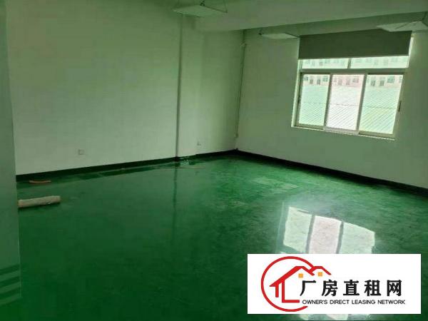  坂田新雪楼上精装修厂房500平方，水电齐全