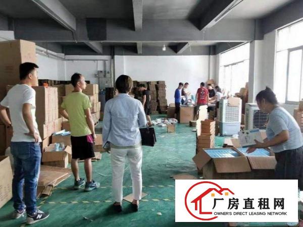  坂田马安堂招租实际面积厂房480平方，无公摊