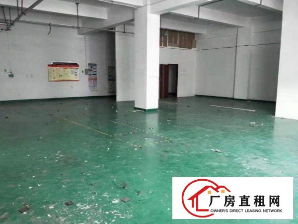  坂田坂雪岗大道新房源！厂房380平方便宜出租，使用率高