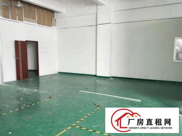  坂田坂雪岗大道新房源！厂房380平方便宜出租，使用率高