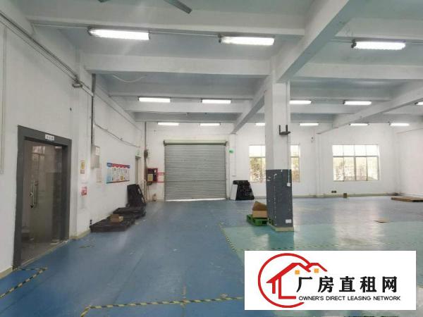  个人出租坂田光雅园路标准厂房1100方