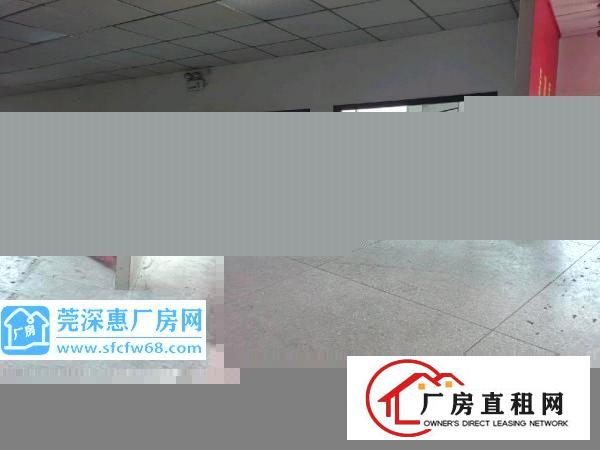  坂田上雪工业区350平带装修厂房出租
