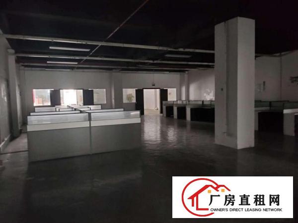  坂田新出原房东厂房一楼1100平出租