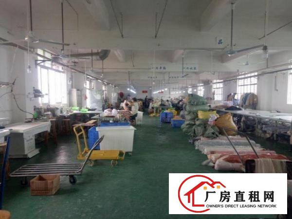  坂田文化广场楼上厂房700方出租，可办环评，方正实用