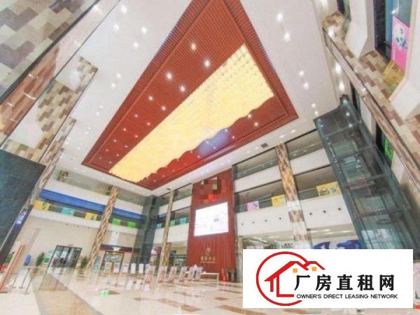  布吉甲级写字楼、展厅教育培训商业红本自有物业出租27000平