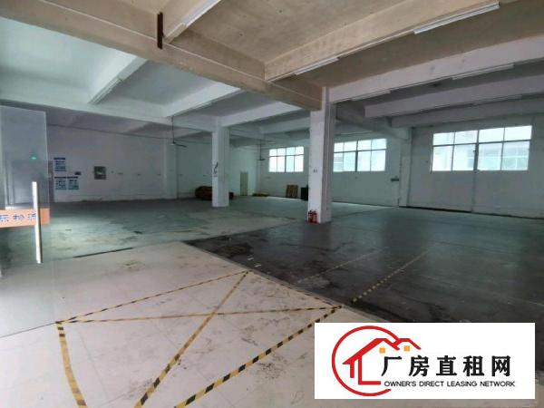  坂田一楼厂房仓库出租200-2000平吉华路布龙路环城路