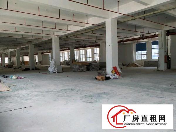  坂田一楼厂房仓库出租200-2000平吉华路布龙路环城路