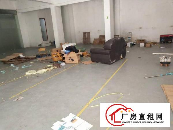  出租坂田光雅园精装修厂房350平方