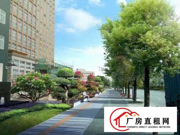  坂田杨美地铁口国际中心办公260平米带精装修出租