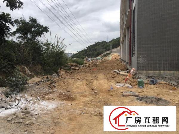  横岗靠近布吉地铁口全新红本原房东空地大享受租金补贴可以分租
