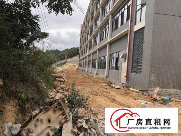  横岗靠近布吉地铁口全新红本原房东空地大享受租金补贴可以分租
