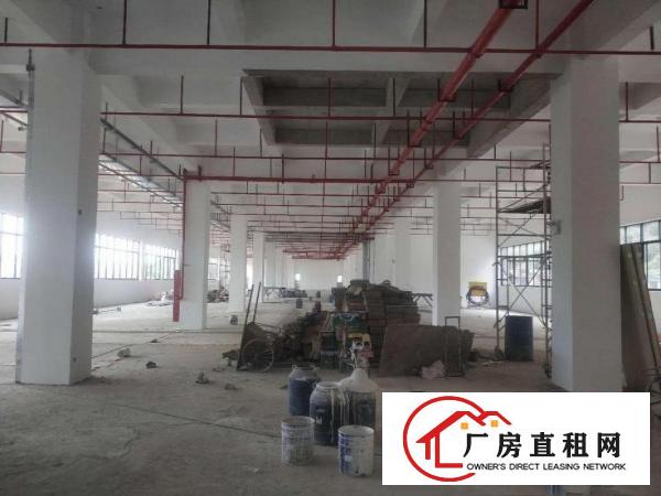  横岗靠近布吉地铁口全新红本原房东空地大享受租金补贴可以分租