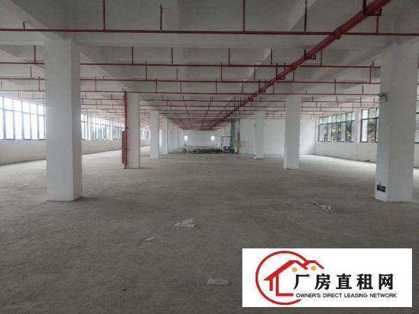  横岗靠近布吉地铁口全新红本原房东空地大享受租金补贴可以分租