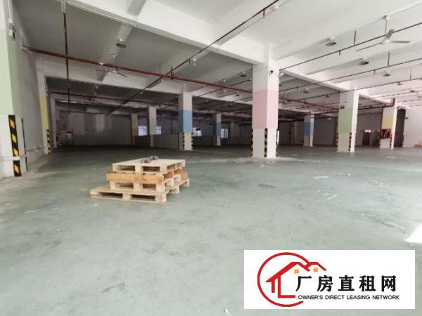  坂田原房东厂房，2000平，价格25可谈，独门独院，通车方便