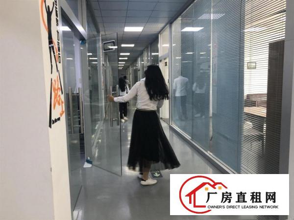 坂田原房东标准厂房1200平全新无尘车间带装修水电齐全