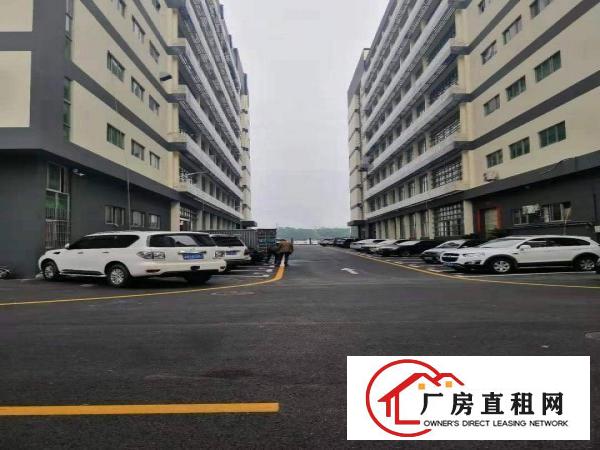  坂田杨美地铁站附近新出楼上整层带装修2400平方可分租