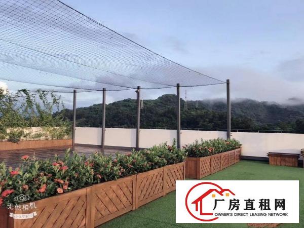  坂田杨美地铁站附近新出楼上整层带装修2400平方可分租