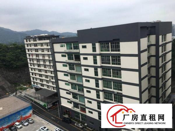  坂田杨美地铁站附近新出楼上整层带装修2400平方可分租