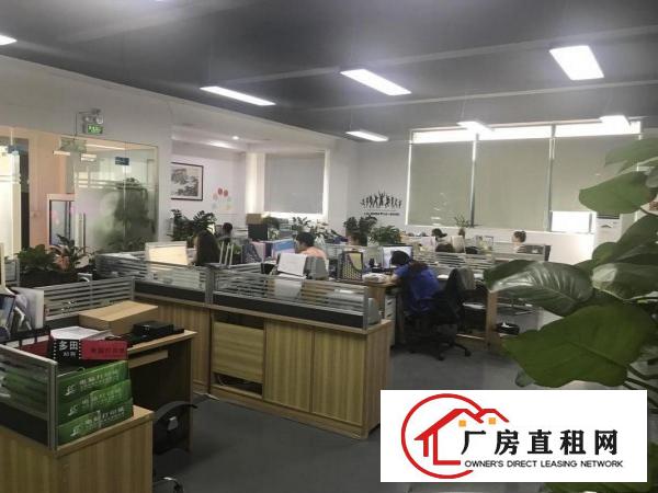  坂田原房东1280平1680平，红本面积出租，无公摊！