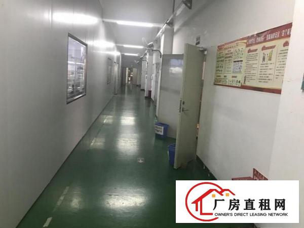  坂田原房东1280平1680平，红本面积出租，无公摊！