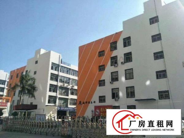  坂田新出带平台一楼1760平米厂房大小可分租