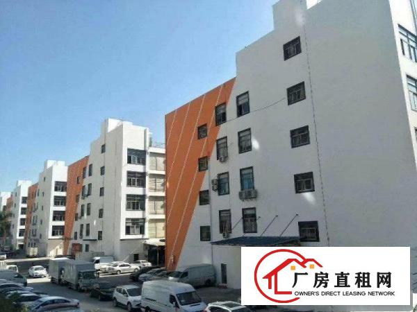  坂田新出带平台一楼1760平米厂房大小可分租